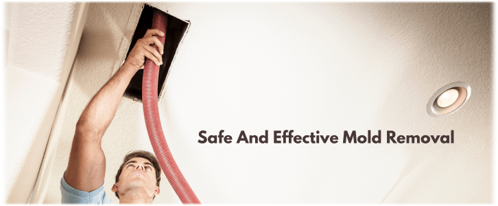 Air Duct Mold Removal in Decatur GA