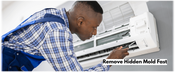HVAC Mold Removal Decatur GA